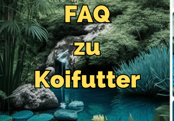 FAQ zu Koifutter - Alles, was Sie wissen müssen - FAQ zu Koifutter: Die besten Tipps für die optimale Fütterung Ihrer Kois