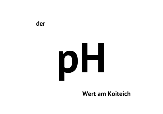 Die Bedeutung des pH-Werts im Koi-Teich und wie man ihn optimiert - Optimierung des pH-Werts für gesunde Koi und beste Wasserqualität